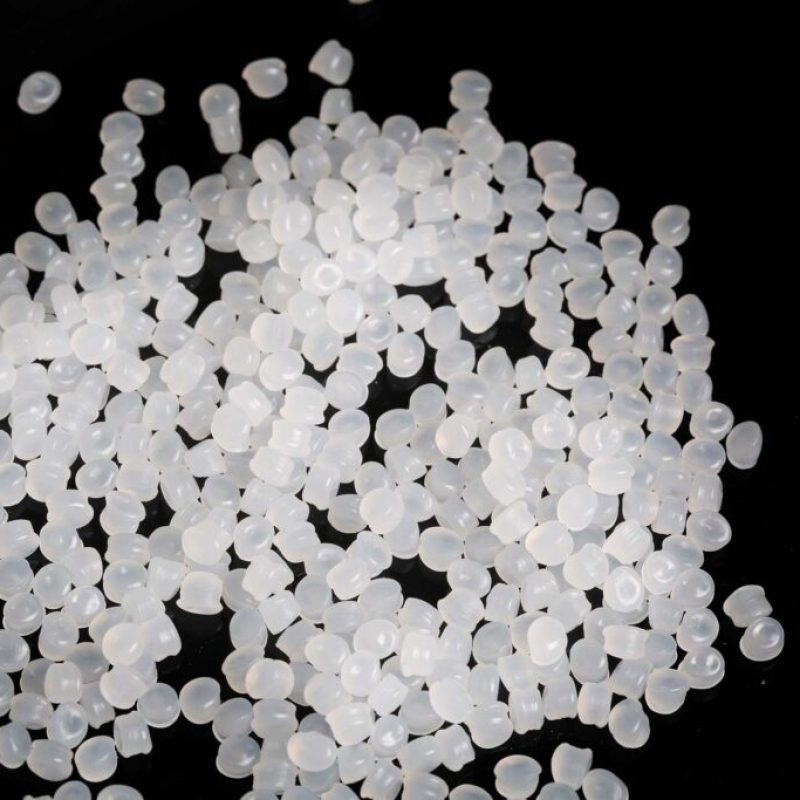 IMG_1823-febbraio-1024x683